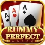 Rummy Perfect All Rummy App